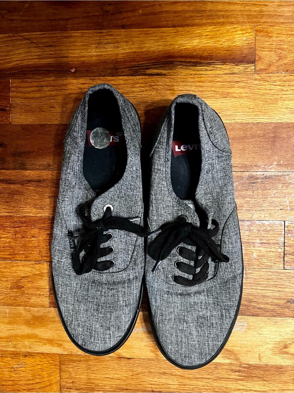 Levi's Men's Gray Canvas Lace-Up Sneakers with Black Laces
